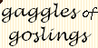 pp144e3004.png