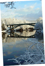 pp8cc62d3a.gif