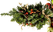 ppbc2c63f4.gif