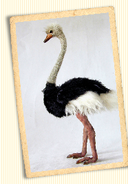 ppfdd381c9.png
